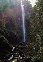 FBA1060 Las cascadas Comaltepec_01.jpg