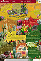 MIXTECO nopales.jpg