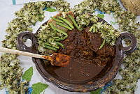 IMDOC3339 Myrtillocactus geometrizans.JPG