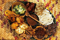 MC0005 Oaxaca de Juárez, Oaxaca.jpg