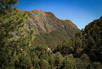 FBA0260 Monterrey, Nuevo León.jpg