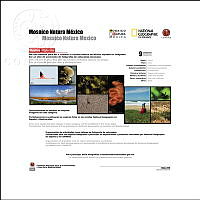 MosaicoNaturaMexico.jpg