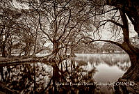 MDLMR002 Tangancícuaro, Michoacán.jpg