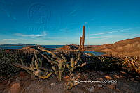 IDG Nat 0053 Isla Navidad.jpg