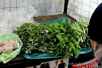 DK2413 Dysphania ambrosioides.jpg