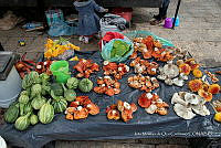 IMDOC Hong 0032 Venta de hongos.jpg