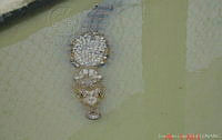 JCLV 001 Crocodylus moreletii.jpg