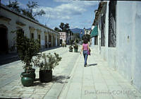 DK0572 Oaxaca, Oaxaca.jpg