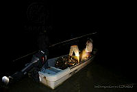 IDG1193 Holbox, Quintana Roo.jpg