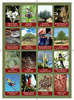 planilla9.pdf