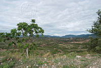 DK0721 Mixteca Baja, Oaxaca.jpg