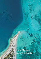 MN6FA0041 contrastes en isla perez.jpg