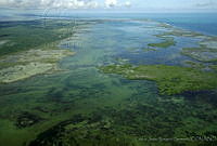 CNS1047 Yum Balam, Quintana Roo.jpg
