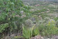 DK0723 Mixteca Baja, Oaxaca.jpg