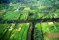 17_ARS00135 Xochimilco, Distrito Federal.jpg