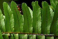 MN6PyH0112 Las autopistas de los más pequeños.jpg