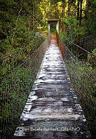 FBA1065 Las cascadas Comaltepec_07.jpg