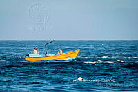 IDG Nat 0063 Pesca en la Isla.jpg