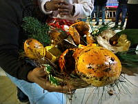 JCDJC 0003 Canasta de hongos.jpg