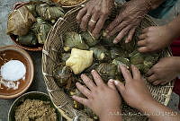 ARS00114 Zea mays.jpg