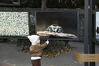 21_IMG_0089.jpg