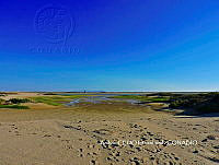 NBA0107 Puerto Peñasco, Sonora.JPG