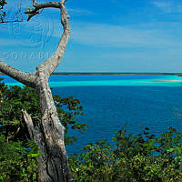 LagunaCost Christian Dreckmann.jpg