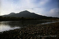 DK2215 Huetamo, Michoacán.jpg