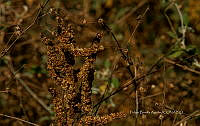 FBA1209 Santa María Huatulco_23.jpg