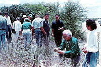 JMRM0033 Mammillaria mathildae.jpg