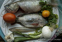 ARS00335 Pescado blanco.jpg