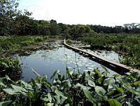 JMDG010 La Mancha, Veracruz.jpg