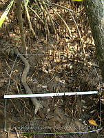 LRGA020 Coatzacoalcos, Veracruz.jpg