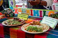 IMDOC 4940 Enchiladas de tresmoles y de conejo con mixmolli.jpg