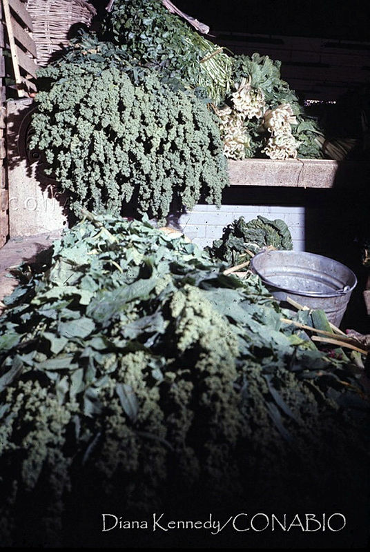 DK1429%20Amaranthus%20blitoides.jpg.kif39PfzMb8B55thQA3g0JtbmFja29CbnFuZ3NAbXJ6LGtwZwA.aY5MeGCAvO