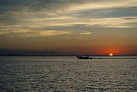 IDG1188 Holbox, Quintana Roo.jpg