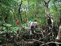 MM003 Catemaco, Veracruz.jpg