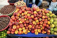 IMDOC Hong 0053 Malus sp.jpg.jpg