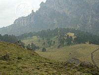 MGvarios25 Parque Nacional Iztaccíhuatl-Popocatépetl, Estado de México.jpg