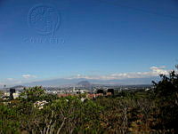 LC_IMG_0839.jpg