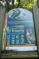 MASM06875 El Triunfo, Chiapas.jpg