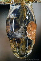 Sarcohyla hapsa_2.jpg