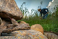 VNN6 048 Vecinos Agrícolas.jpg