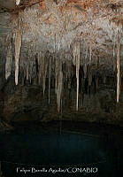 FBA0966 Cenote X´Keken.jpg