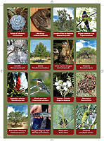 planilla3.pdf