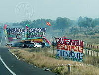 3R00715 Liometopum apicolatum.jpg