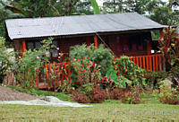 DK0625 Santa Cruz Tepetotulta, Oaxaca.jpg