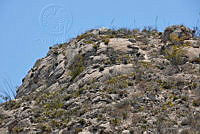 MSGE0107 Mina, Nuevo León.jpg