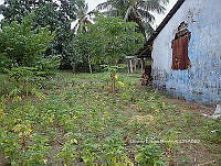 RG055 0248 Huerto de transpatio.JPG