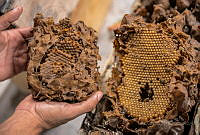 MEP04 Calkiní, Campeche.jpg